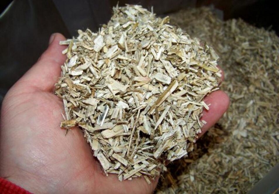 Aspen bark to prepare a medicinal tincture for prostatitis in men